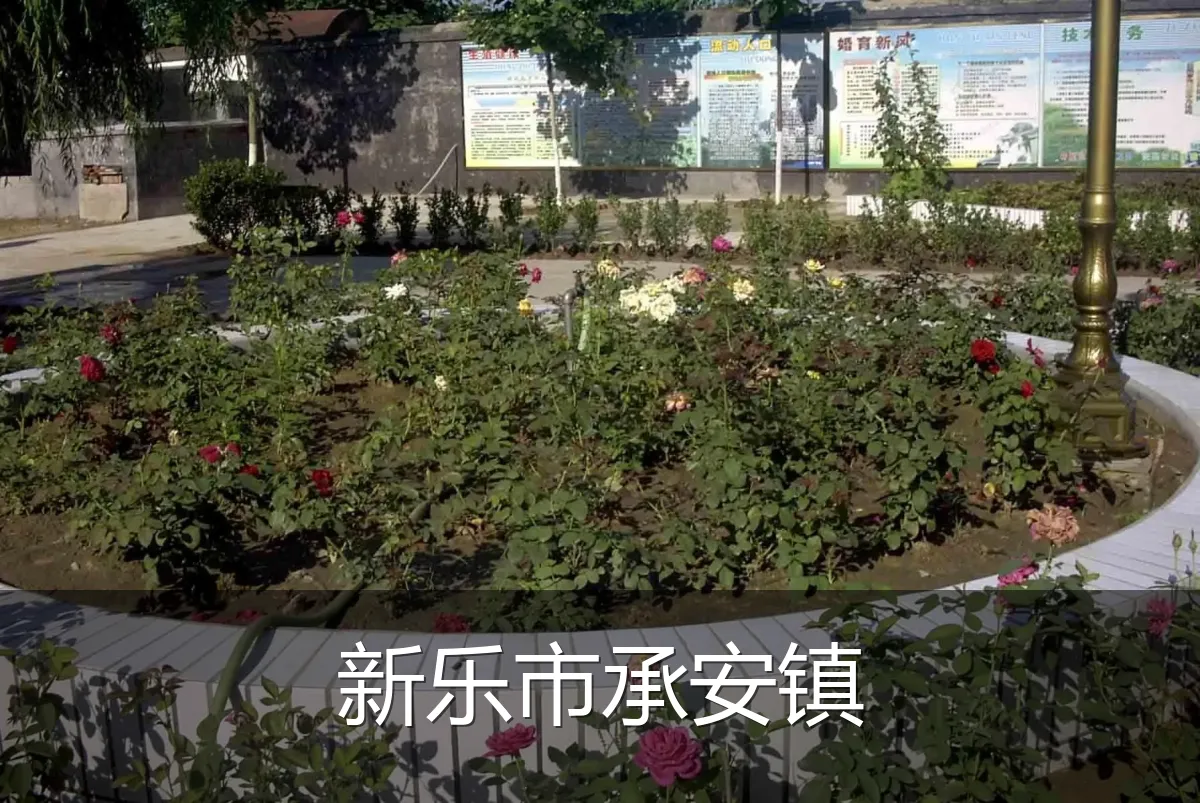 新乐市承安镇