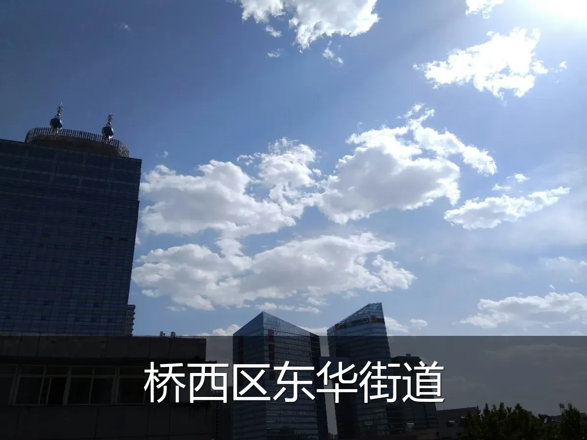桥西区东华街道