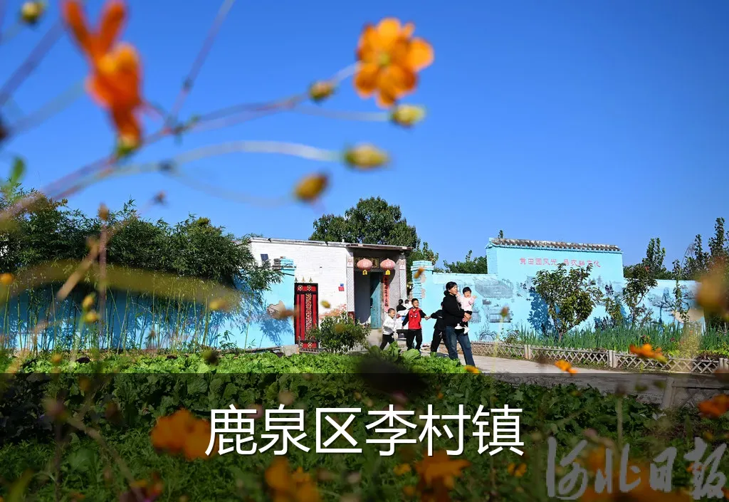 鹿泉区李村镇