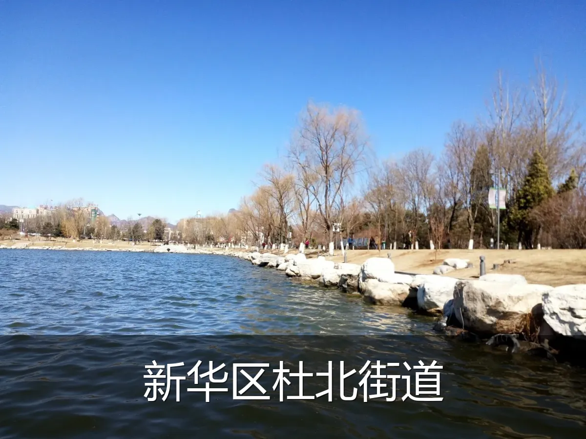 新华区杜北街道