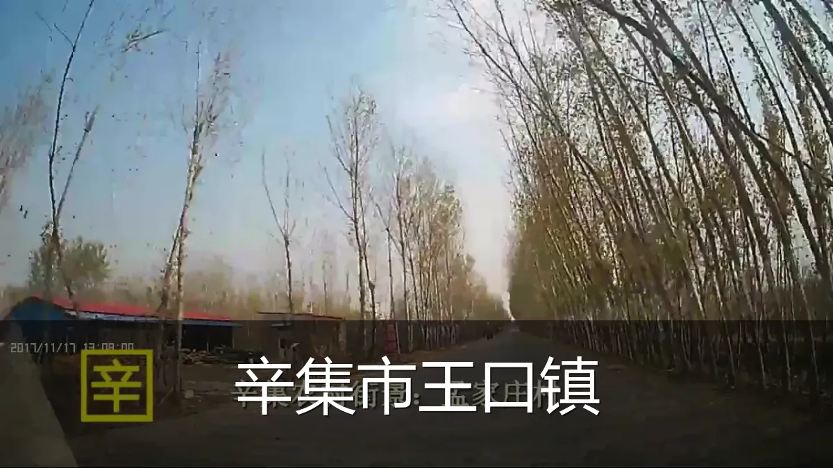 辛集市王口镇