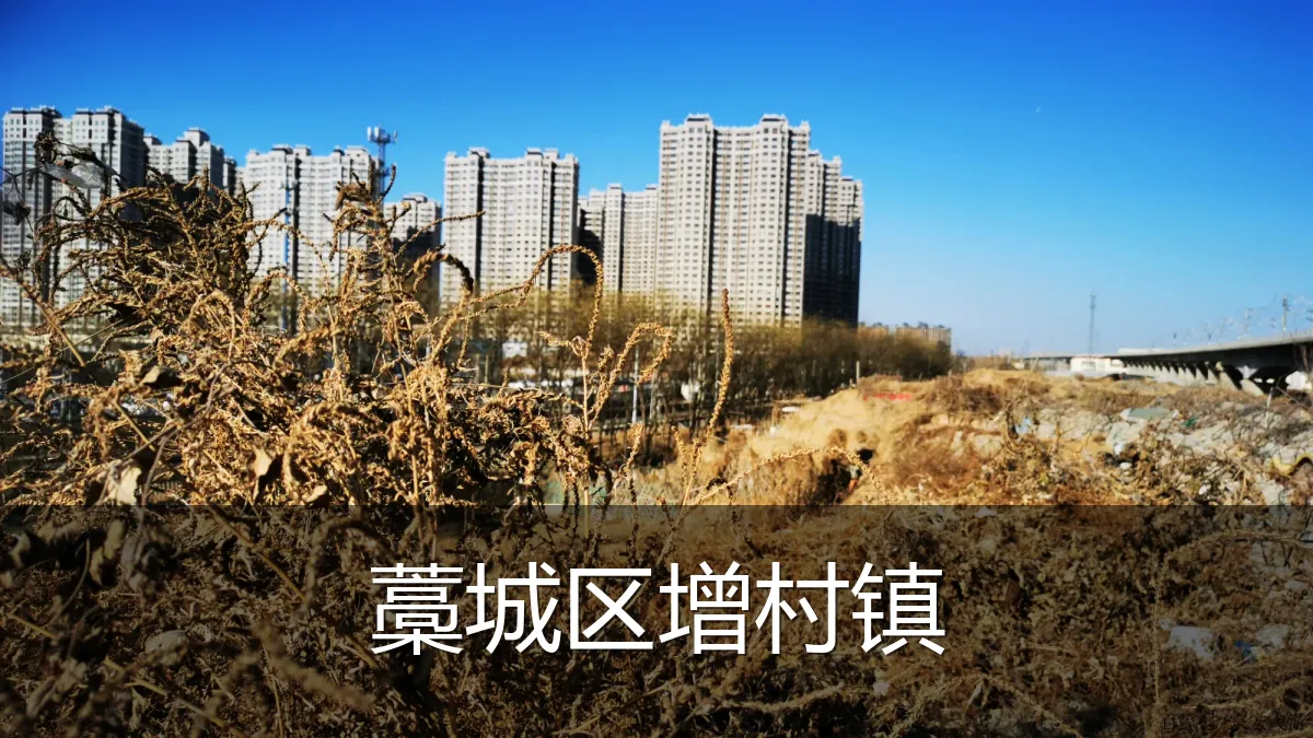 藁城区增村镇