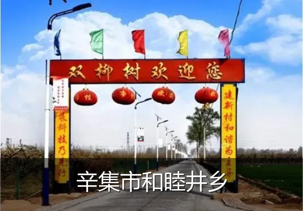 辛集市和睦井乡