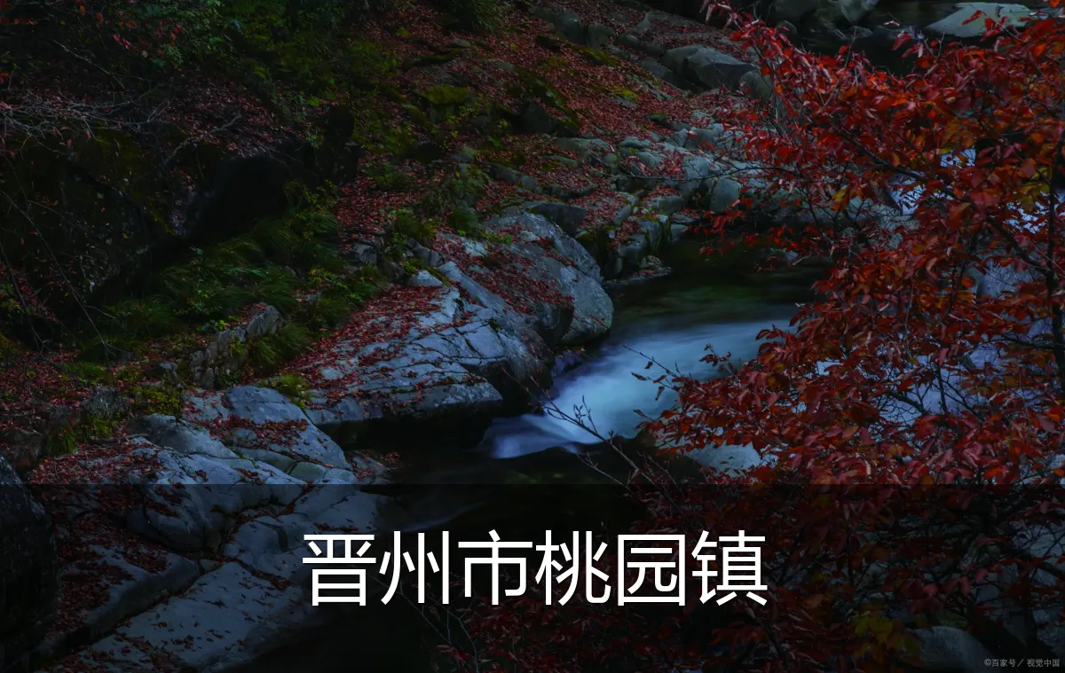 晋州市桃园镇