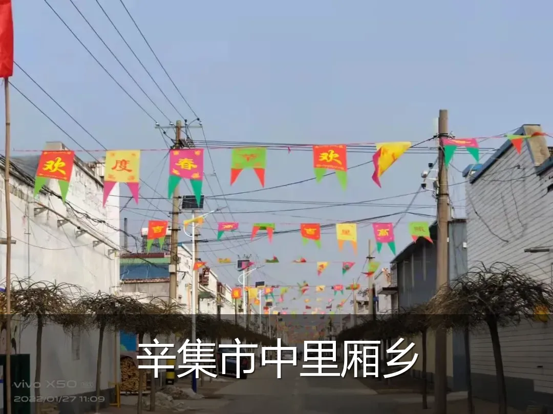 辛集市中里厢乡