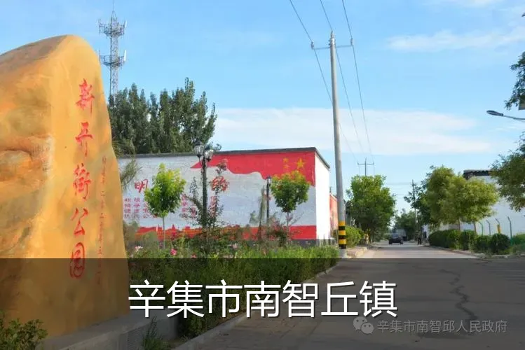 辛集市南智丘镇
