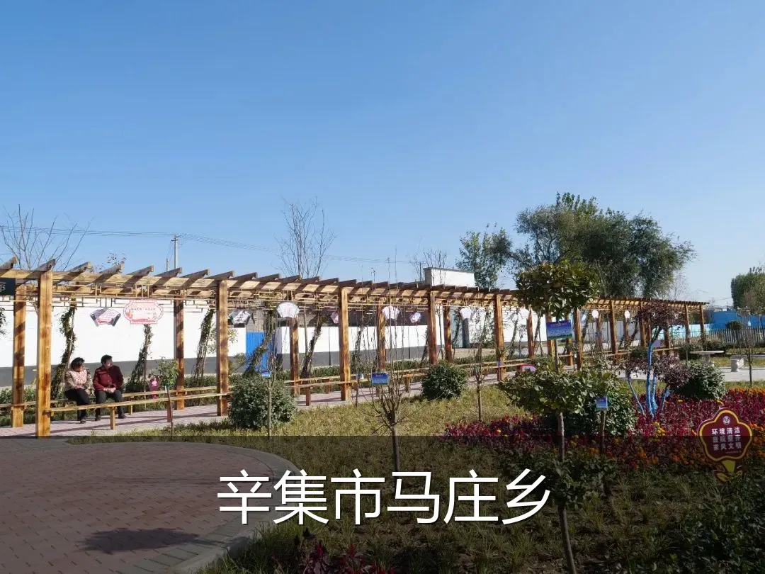 辛集市马庄乡