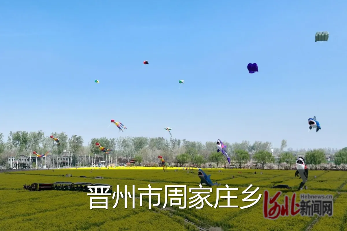 晋州市周家庄乡
