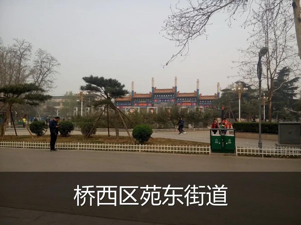 桥西区苑东街道
