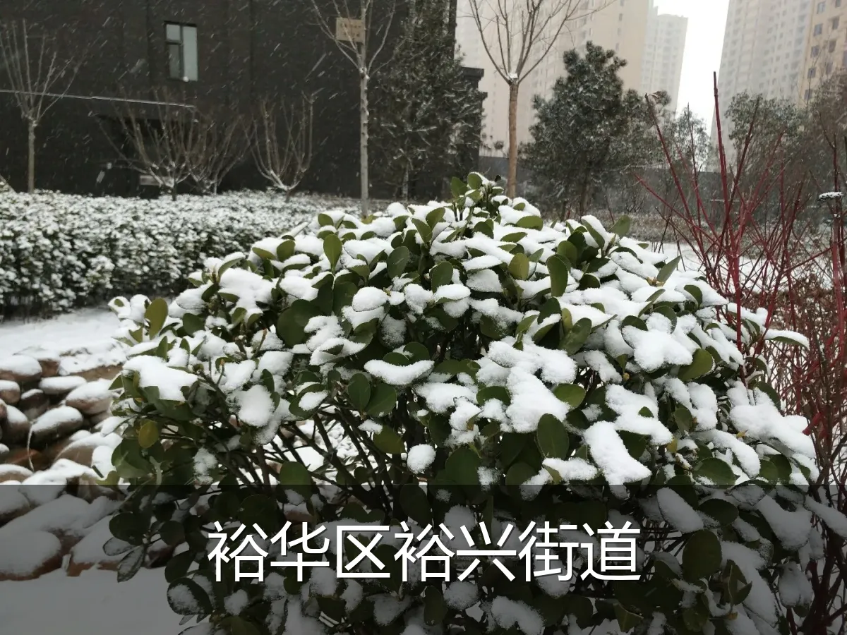 裕华区裕兴街道