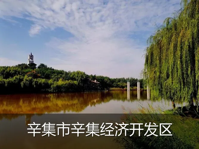 辛集市辛集经济开发区